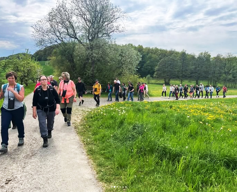 Wein-Wanderung zum Hessenturm